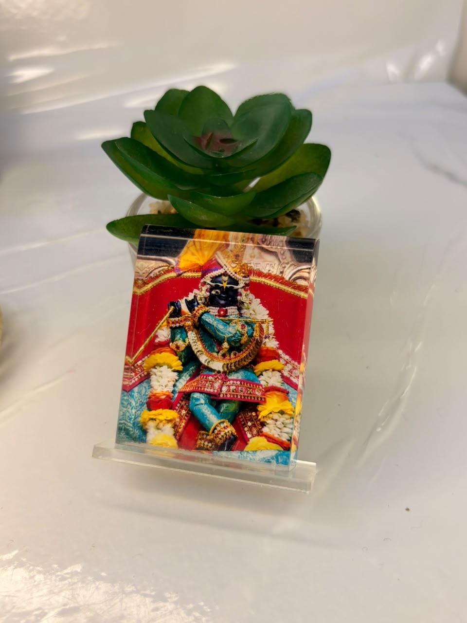 Divine Radha Raman Combo